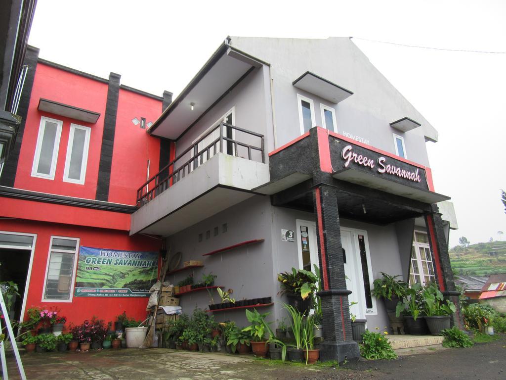 Green Savannah Homestay Syariah Diyeng Exteriör bild